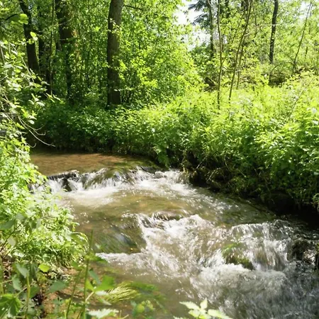 Renovated In The Middle Of Nature Bournoufay