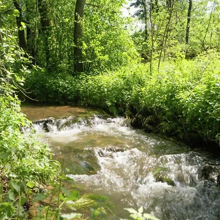 Forest Escape, Luxembourg *
