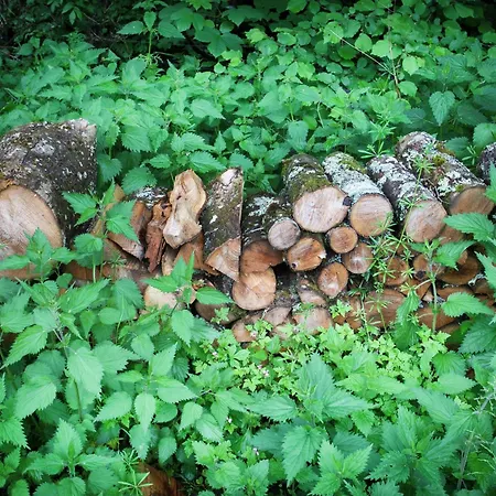 Forest Escape, Luxembourg Σπίτι διακοπών