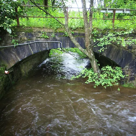 Forest Escape, Luxembourg Bournoufay